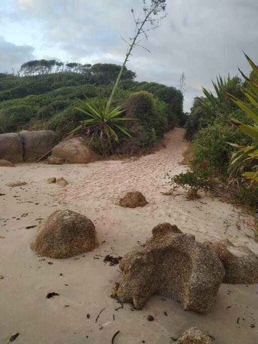 Apto 80M Da Praia Grande Vista Mar! Governador Celso Ramos Ngoại thất bức ảnh